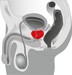 Prostate massager - forgó prosztatavibrátor (fekete) kép