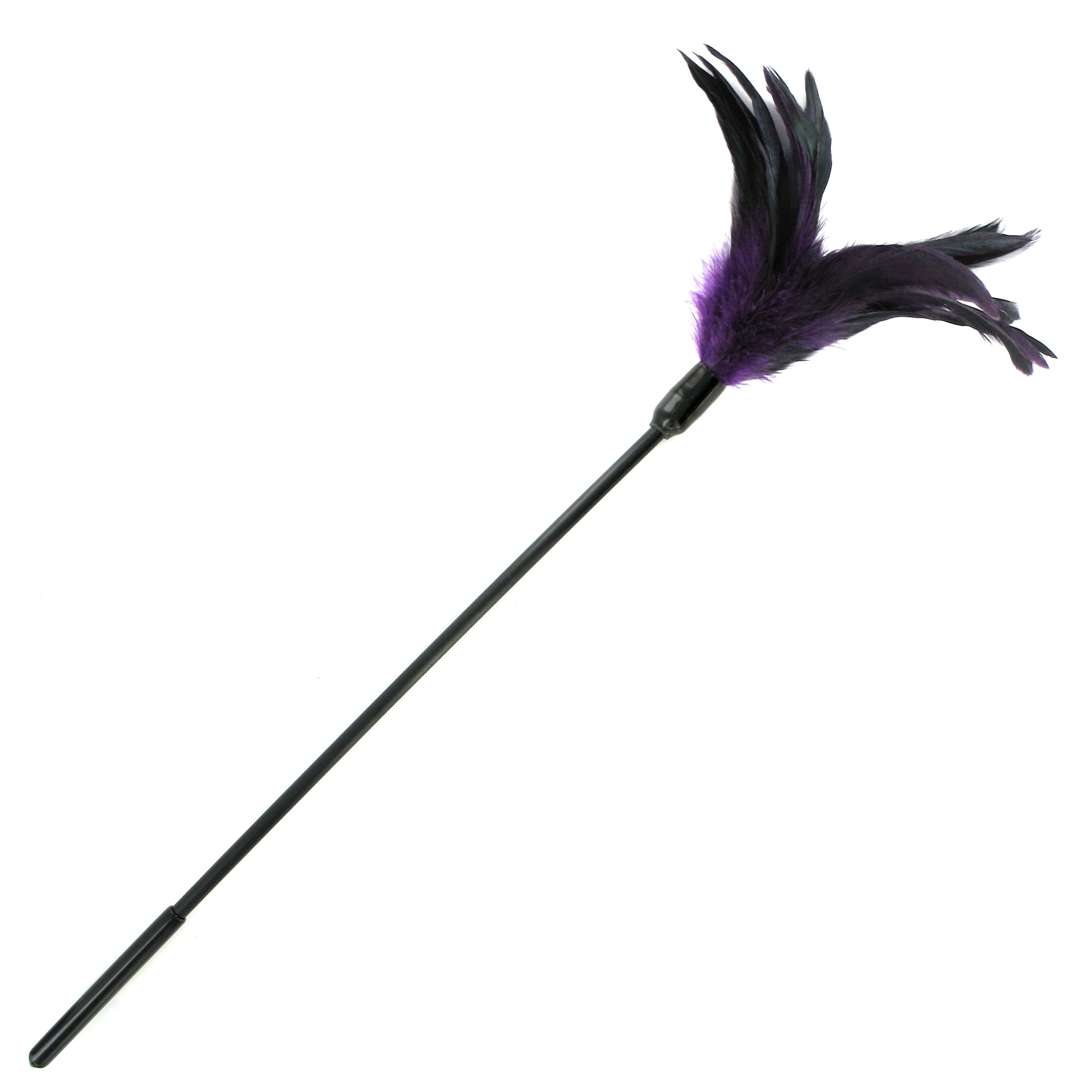 Sportsheets - toll cirógató, hosszú nyéllel (viola-fekete) kép
